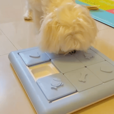 寵物益智玩具｜ 解密方格推推