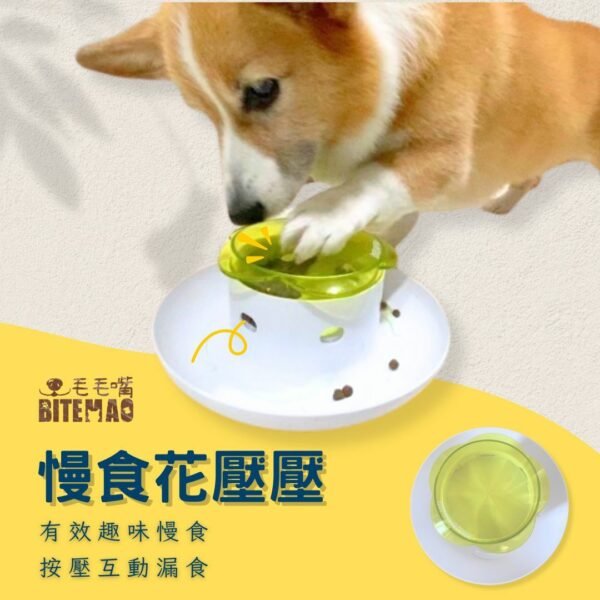 寵物益智 | 慢食花壓壓