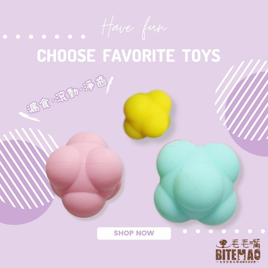 寵物球 ｜ 雲朵頑皮球