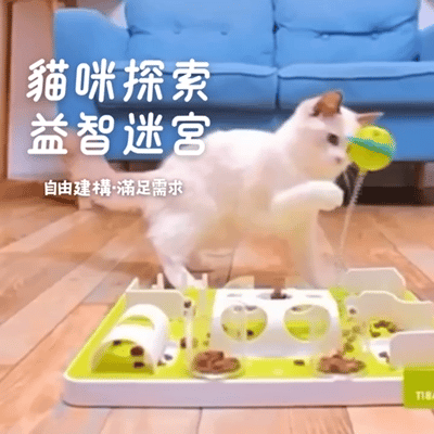 貓咪用爪子挖掘迷宮小杯子 探索肉泥情境