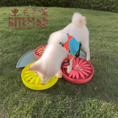 菊癒慢食碗 中階