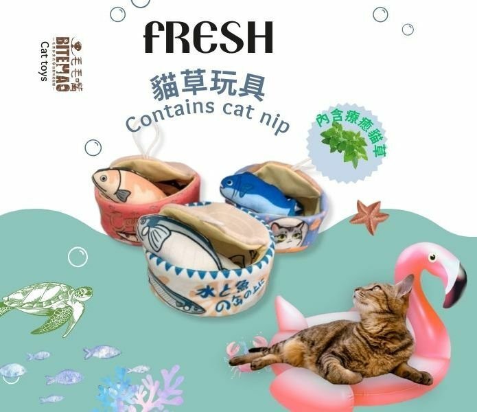 貓草玩具 | 藏食罐頭