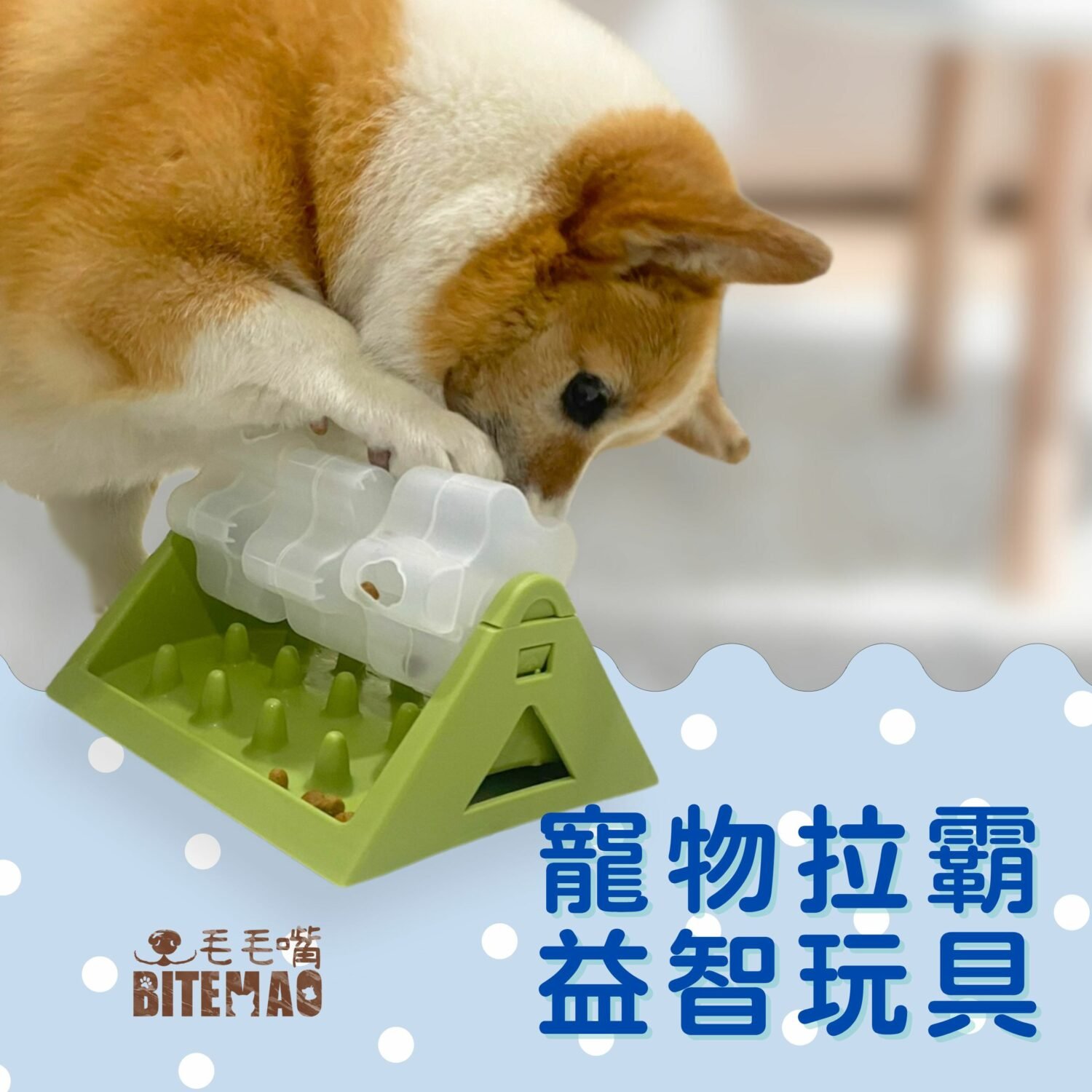 original-3.jpg 寵物益智 趣味拉霸