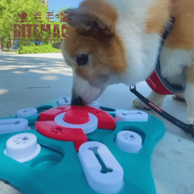 寵物益智 ｜ 飛鏢慢食盤