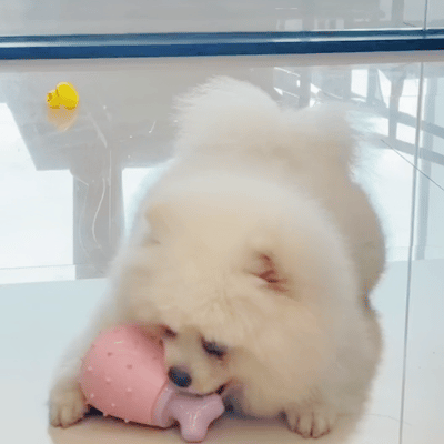 漏食玩具 | 狼牙棒