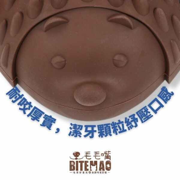 original-32.jpg 藏食耐咬|刺蝟寶箱