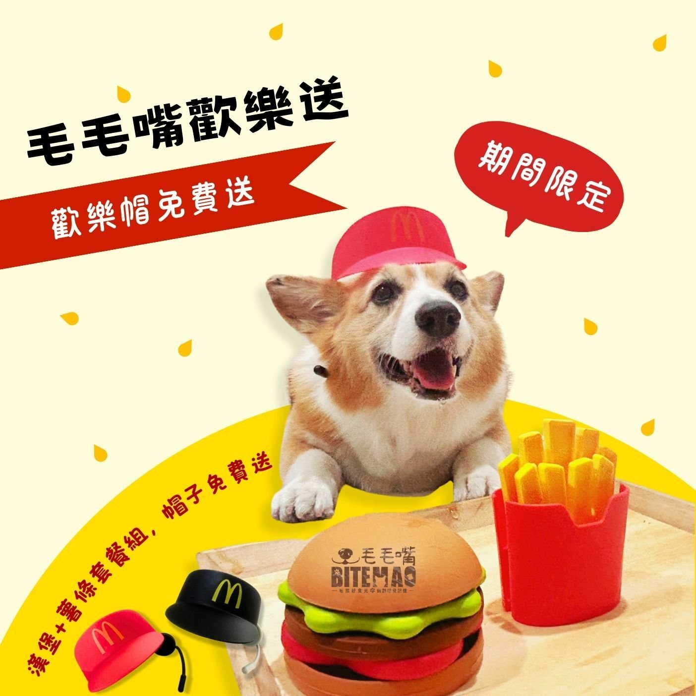 貓咪撥開小薯條積木 舔食抹在層間的肉泥情境