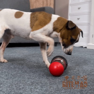 original-39.gif 寵物漏食 | 滾滾胖8球