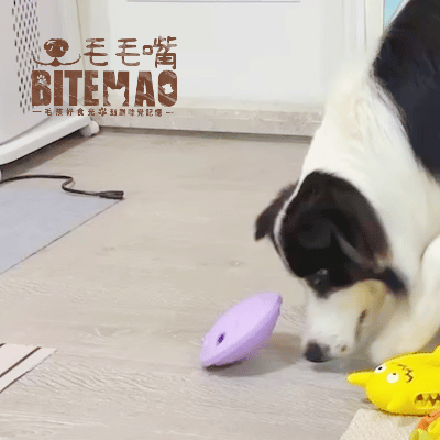 original-42.gif 漏食玩具 | 迷航飛碟