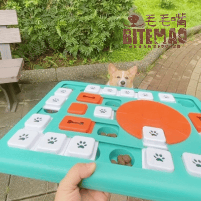 寵物益智 | 鍵盤高手 大型犬