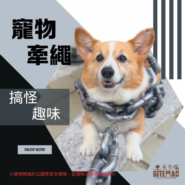 霸氣鎖鏈寵物牽繩