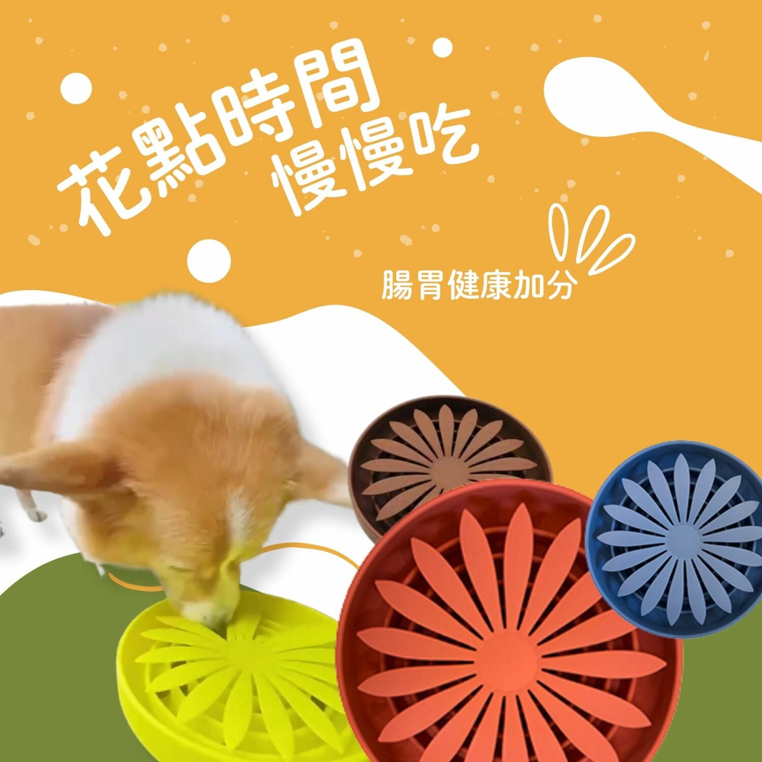 菊癒慢食碗 中階