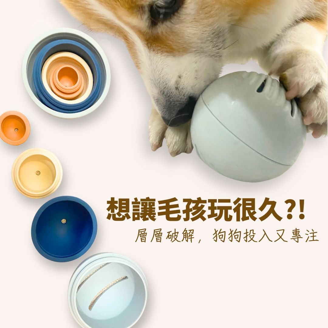 狗狗正在拆解多層藏食銀河系 進行鼻口探索情境