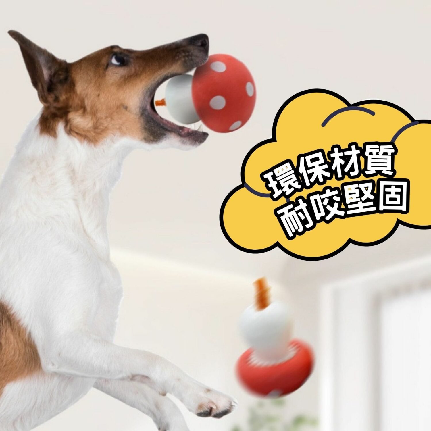 original-77.jpg 漏食玩具 | 瑪莉蘑菇