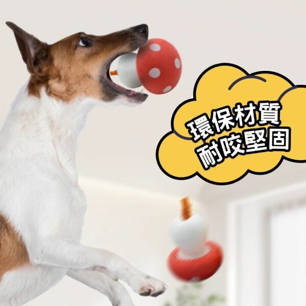 漏食玩具 | 瑪莉蘑菇