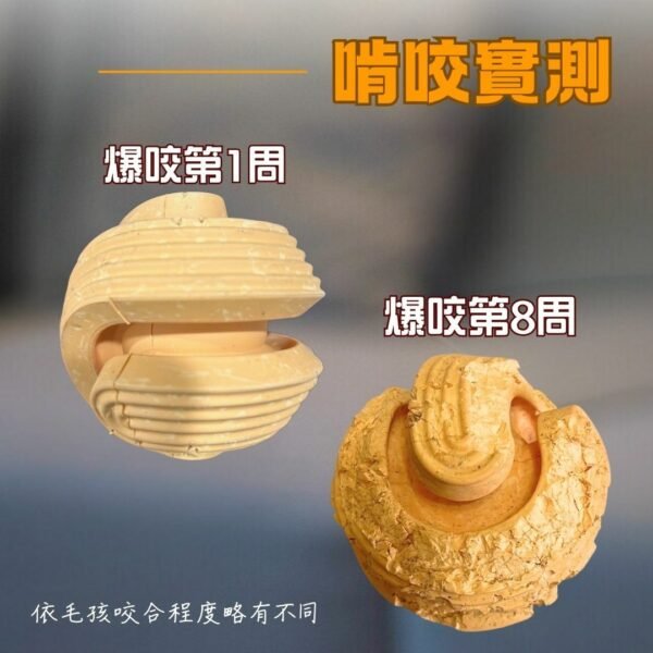 藏食耐咬玩具 探索無限球