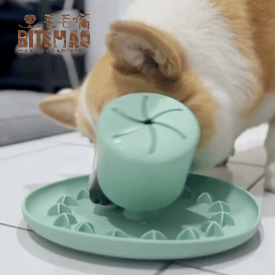 original-9.gif 寵物慢食 | 晃晃星球