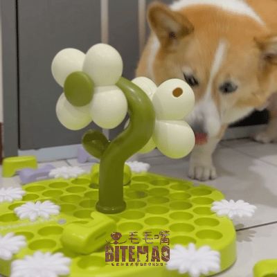 寵物益智 森林花朵