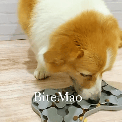 漂浮骨頭慢食盤 好攜帶